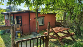 Refugio campestre a 7min de Osorno